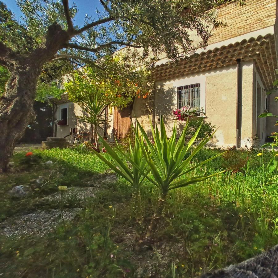 B&B La Masseria Del '700 Castiglione a Casauria Ngoại thất bức ảnh